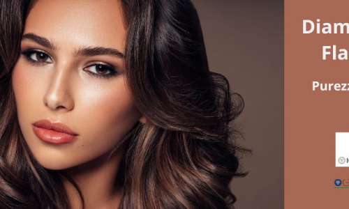 FLawless FL Diamonds: The Ultimate in Gemological Purity