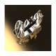 Giorgio custom name ring rhodium silver 0.0005 carats diamond G-VS1