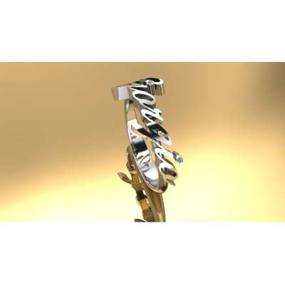 Giorgio custom name ring rhodium silver 0.0005 carats diamond G-VS1