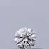 Certified Diamond IGI Carats 0.18 Color F Clarity VVS1  EX  EX  EX Fluorescence NON Brown No Milky No EyeClean 100%