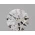 Diamante Certificato GIA Carati 0.3 Colore F Purezza VVS1  EX  EX  VG Fluorescenza NON Brown No Green No Milky No EyeClean 100%