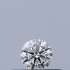 Certified Diamond IGI Carats 0.18 Color G Clarity VVS1  EX  EX  EX Fluorescence NON Brown No Milky No EyeClean 100%