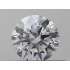 Certified Diamond GIA Carats 0.25 Color D Clarity VVS1  EX  EX  EX Fluorescence NON Brown No Green No Milky No EyeClean 100%