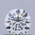 Certified Diamond GIA Carats 0.5 Color F Clarity VVS1  EX  EX  EX Fluorescence NON Brown No Milky No EyeClean 100%